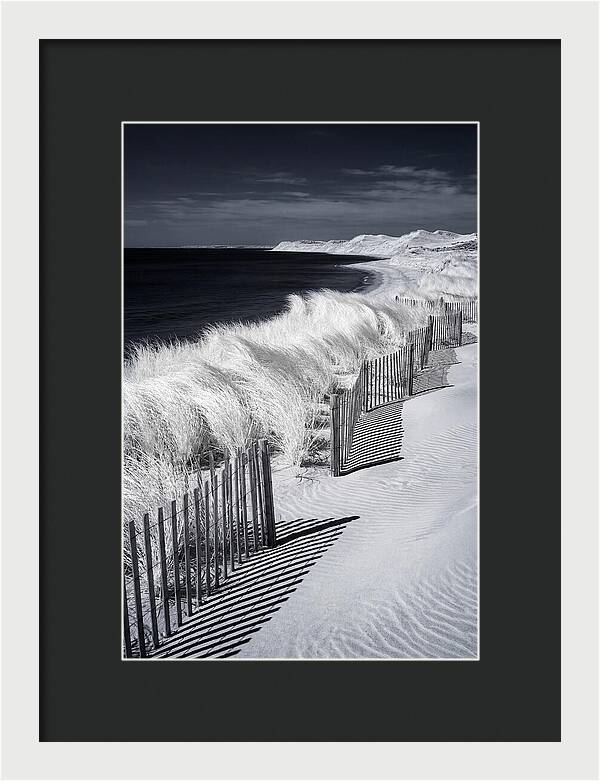 Tranquil Moments By The Coast