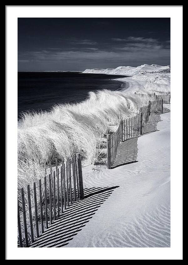 Tranquil Moments By The Coast