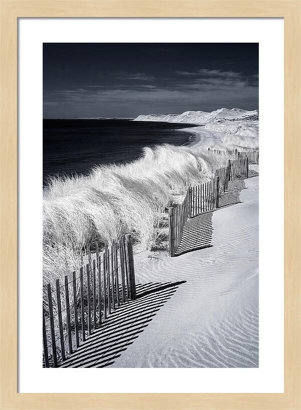 Tranquil Moments By The Coast