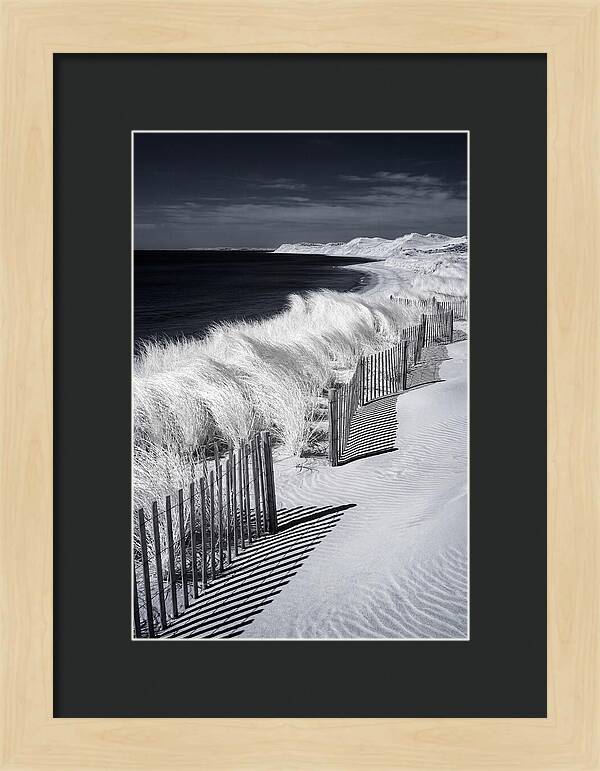 Tranquil Moments By The Coast