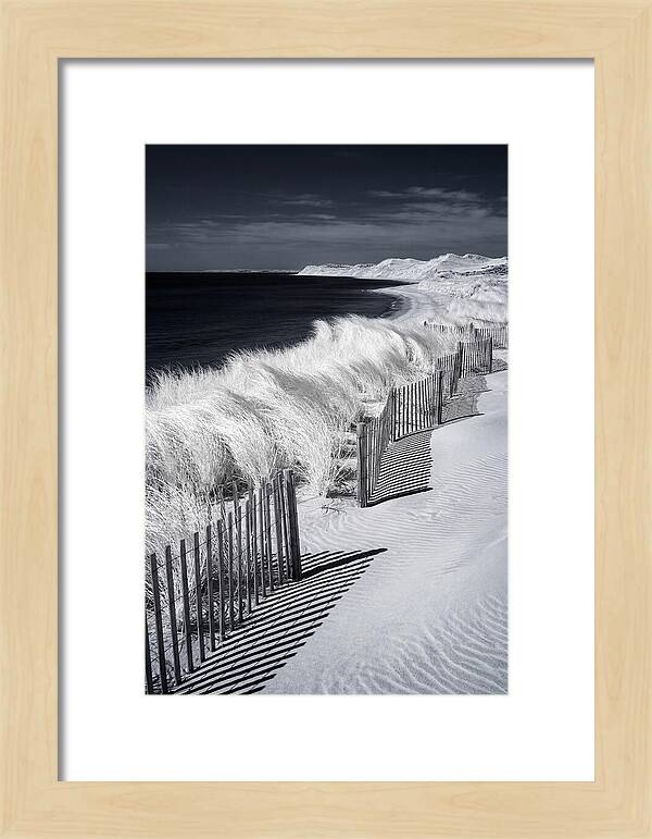 Tranquil Moments By The Coast