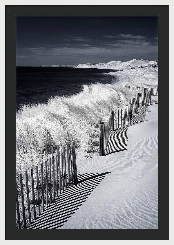 Tranquil Moments By The Coast