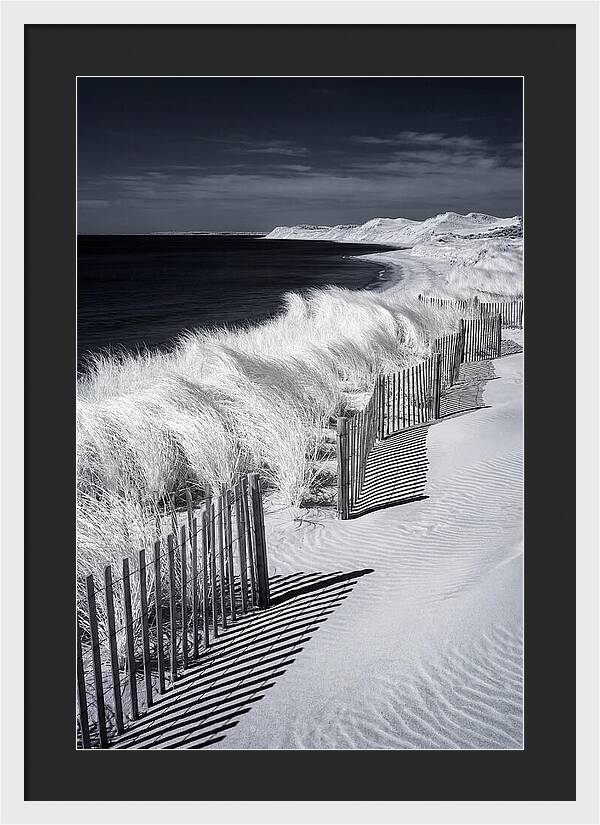 Tranquil Moments By The Coast