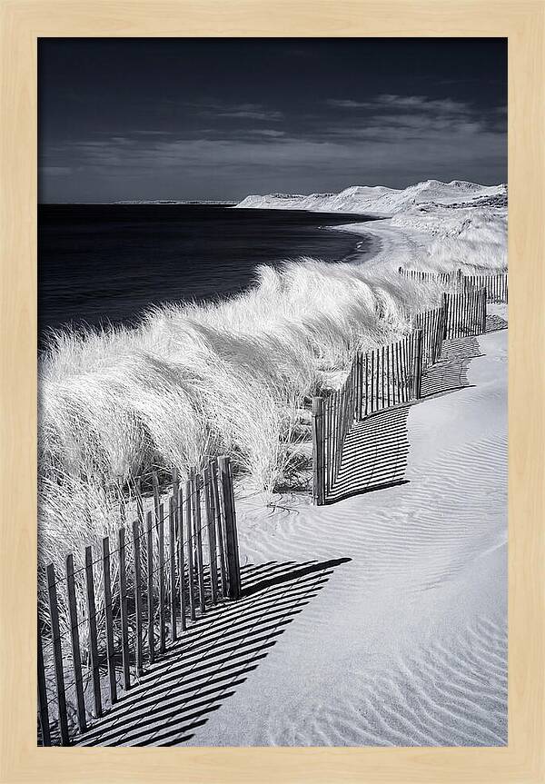 Tranquil Moments By The Coast