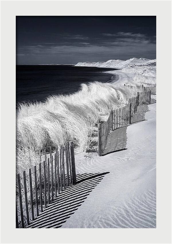 Tranquil Moments By The Coast