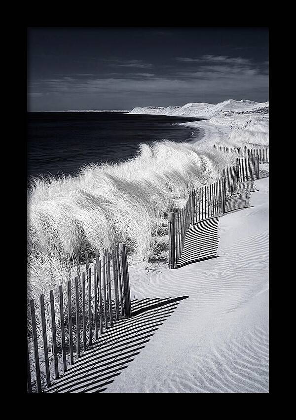 Tranquil Moments By The Coast