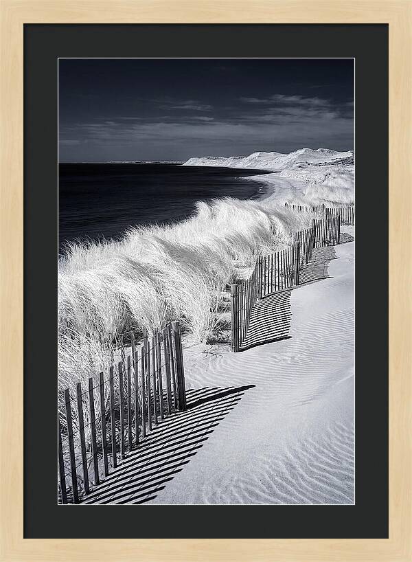 Tranquil Moments By The Coast