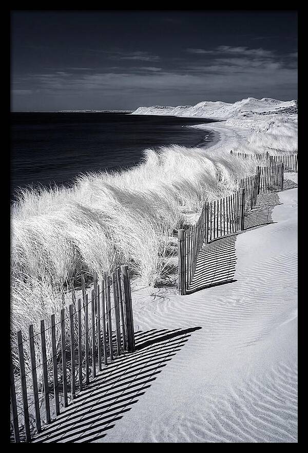 Tranquil Moments By The Coast