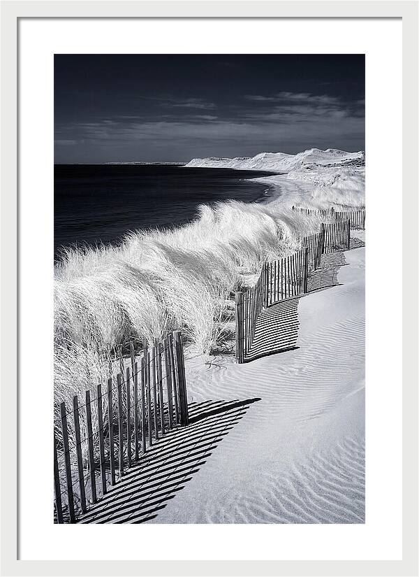 Tranquil Moments By The Coast
