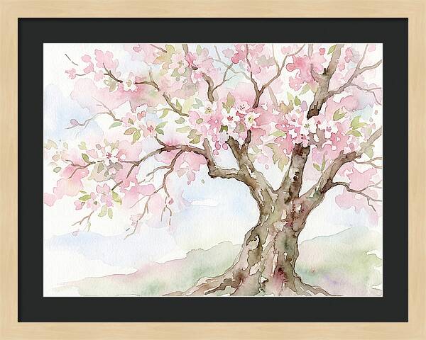 Tranquil Moments In Bloom 1711