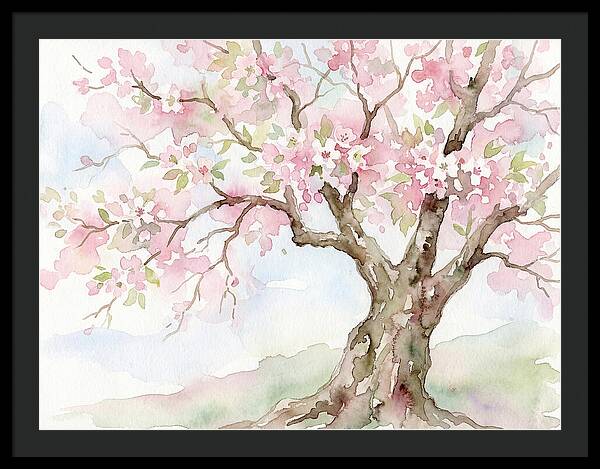 Tranquil Moments In Bloom 1711