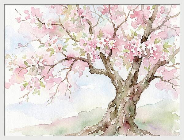 Tranquil Moments In Bloom 1711