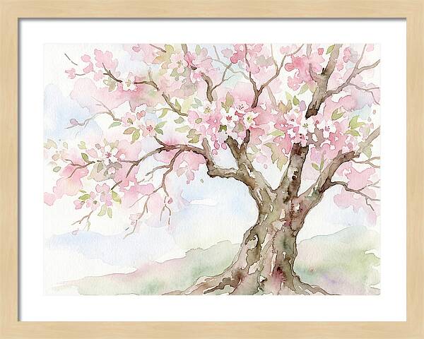 Tranquil Moments In Bloom 1711