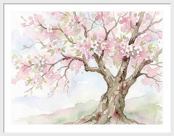 Tranquil Moments In Bloom 1711