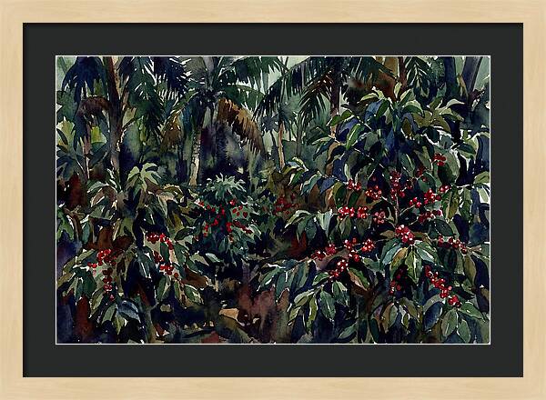 Tranquil Moments In Coffee Country
