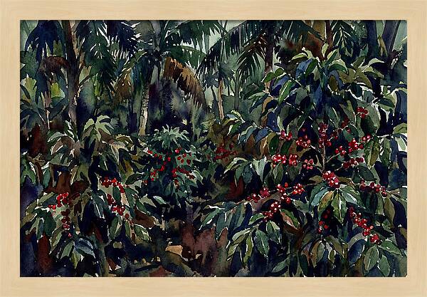 Tranquil Moments In Coffee Country