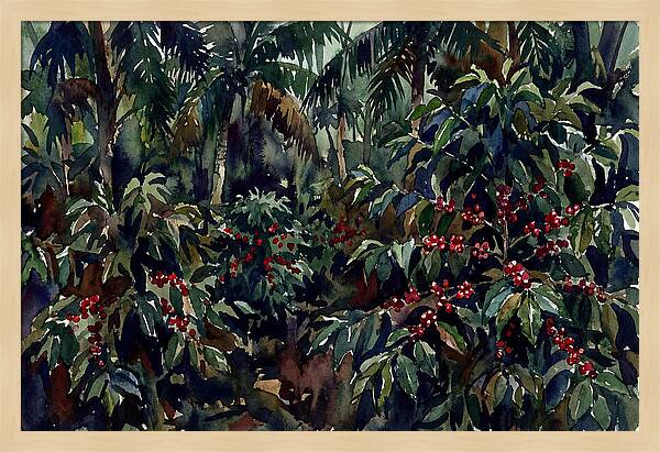 Tranquil Moments In Coffee Country