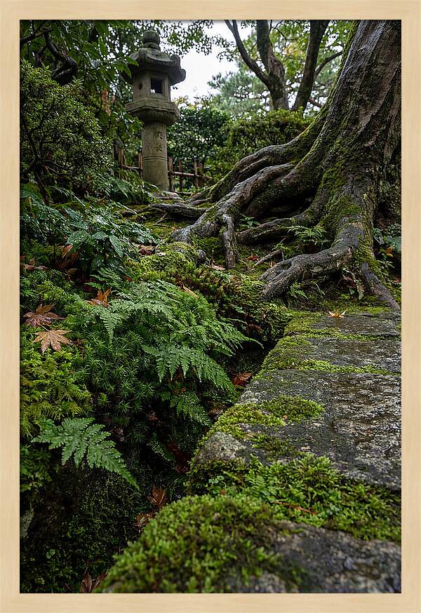 Tranquil Moments In Kenrokuen Garden