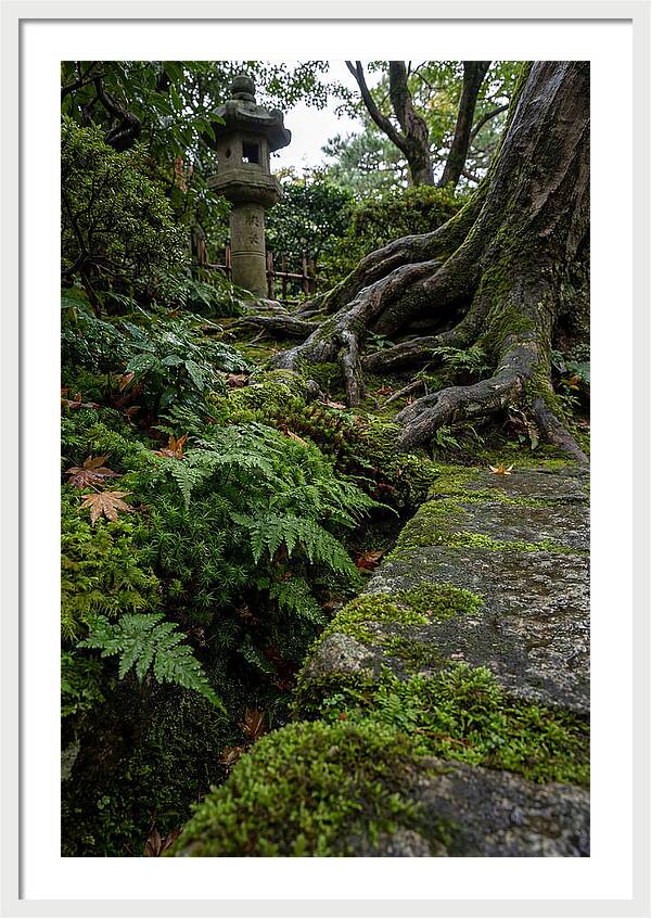 Tranquil Moments In Kenrokuen Garden