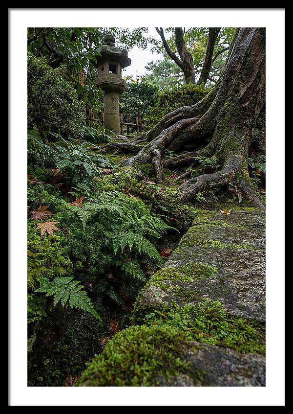 Tranquil Moments In Kenrokuen Garden