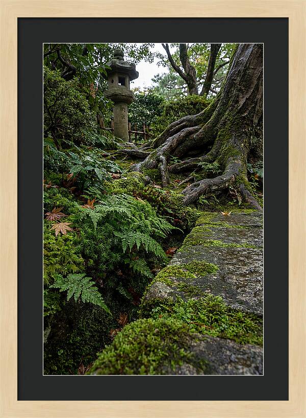 Tranquil Moments In Kenrokuen Garden
