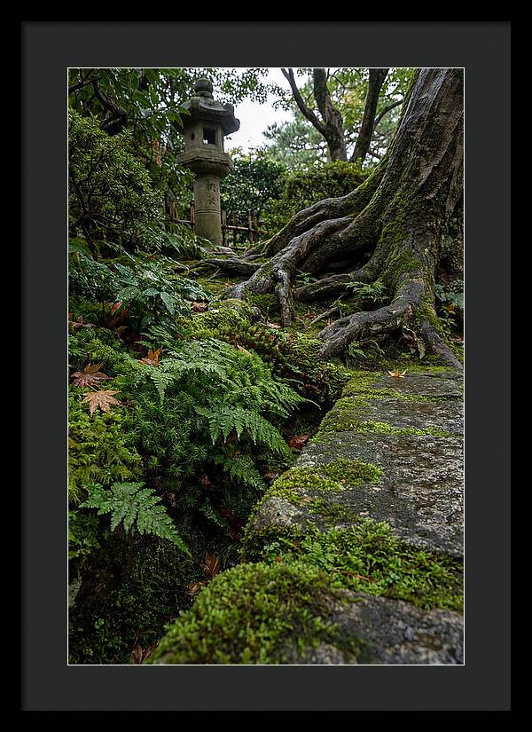 Tranquil Moments In Kenrokuen Garden