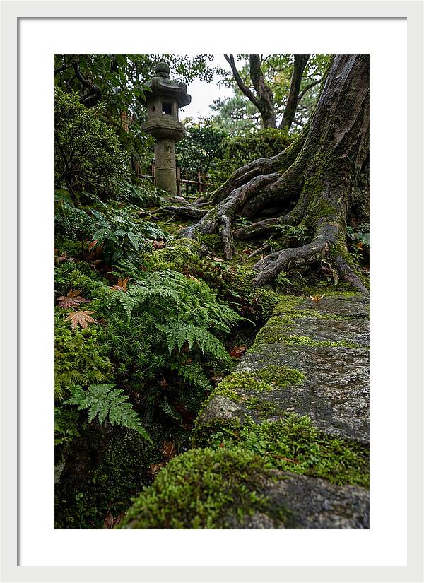 Tranquil Moments In Kenrokuen Garden