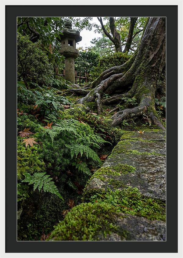 Tranquil Moments In Kenrokuen Garden