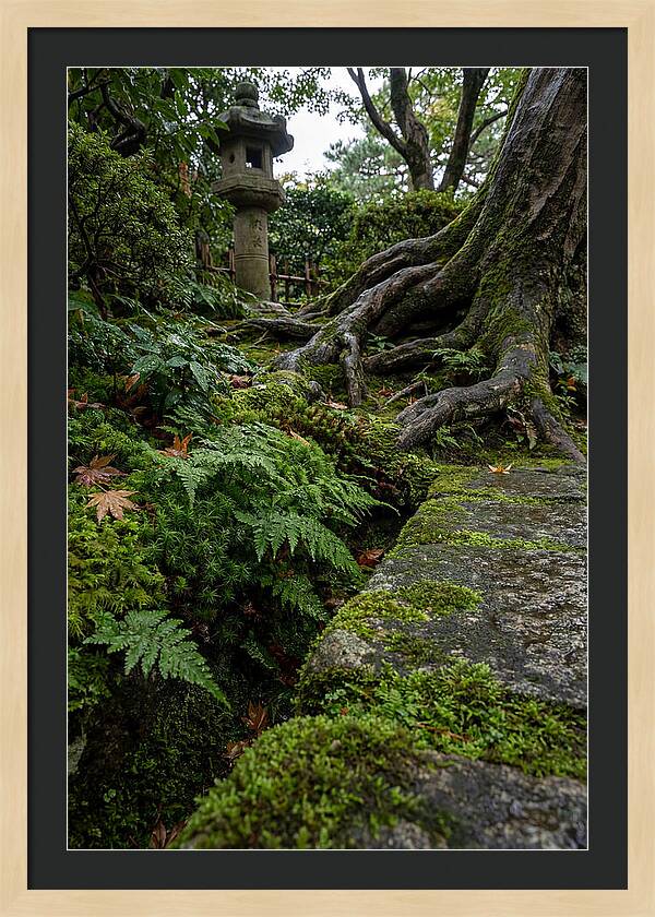 Tranquil Moments In Kenrokuen Garden