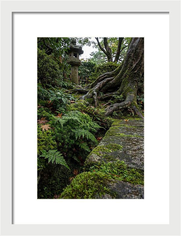 Tranquil Moments In Kenrokuen Garden