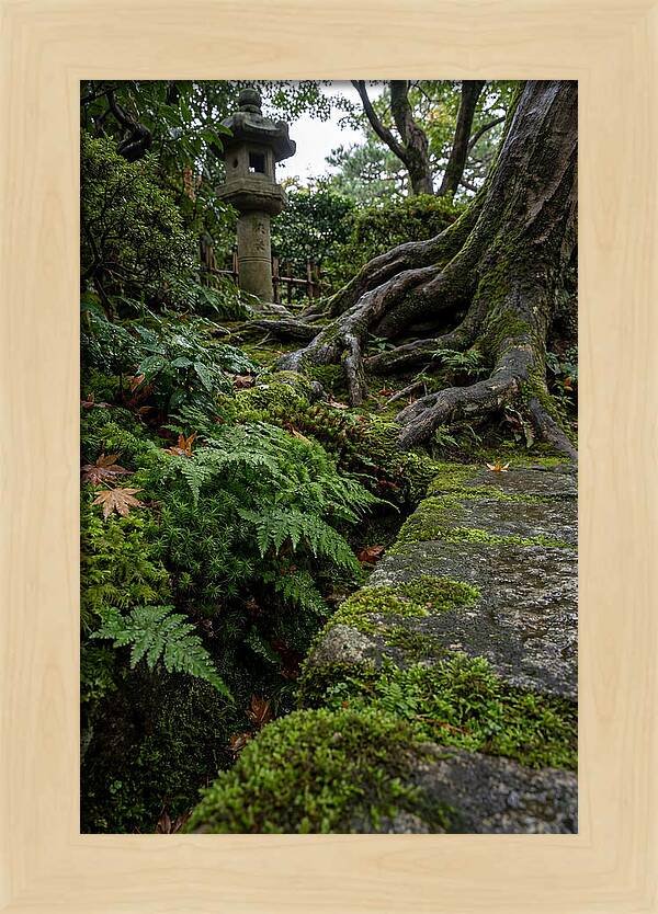 Tranquil Moments In Kenrokuen Garden
