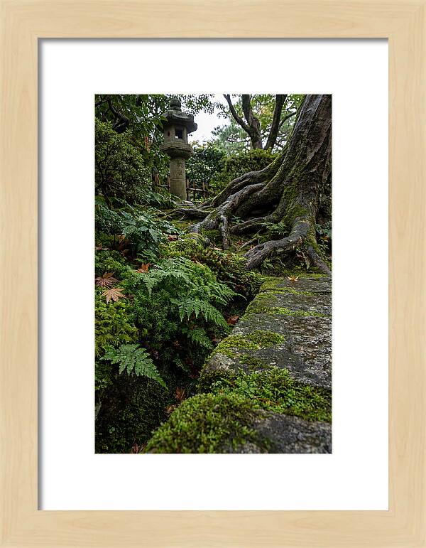 Tranquil Moments In Kenrokuen Garden