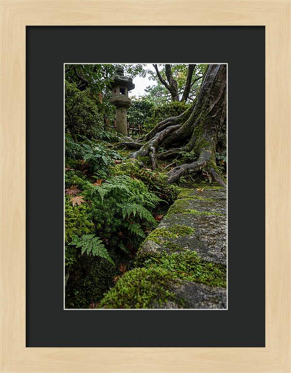 Tranquil Moments In Kenrokuen Garden