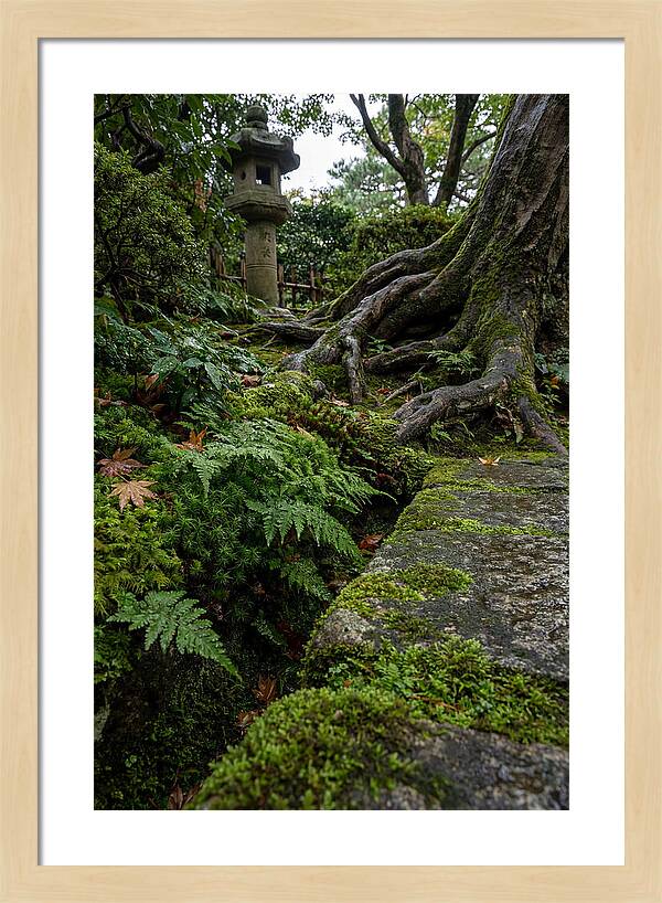 Tranquil Moments In Kenrokuen Garden