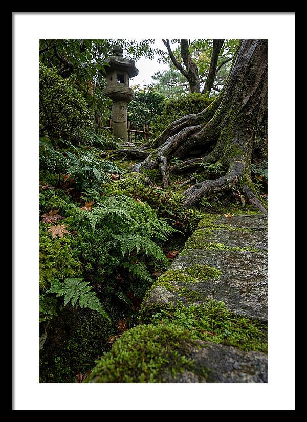 Tranquil Moments In Kenrokuen Garden