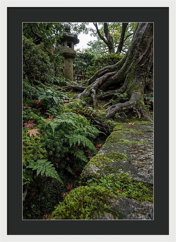 Tranquil Moments In Kenrokuen Garden
