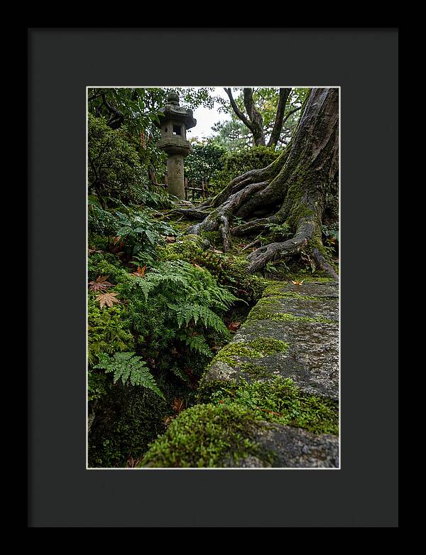 Tranquil Moments In Kenrokuen Garden