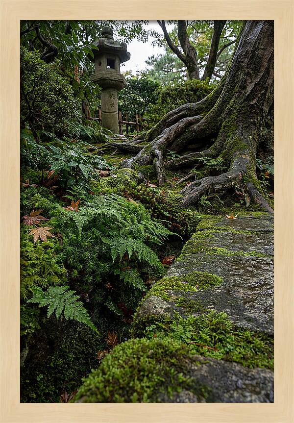 Tranquil Moments In Kenrokuen Garden