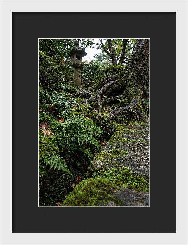 Tranquil Moments In Kenrokuen Garden