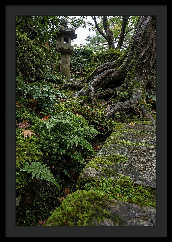 Tranquil Moments In Kenrokuen Garden