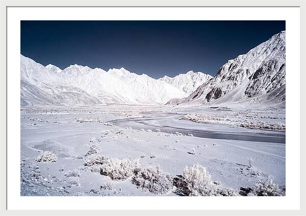 Tranquil Moments In Nubra Valley
