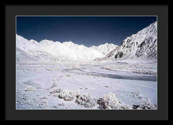 Tranquil Moments In Nubra Valley
