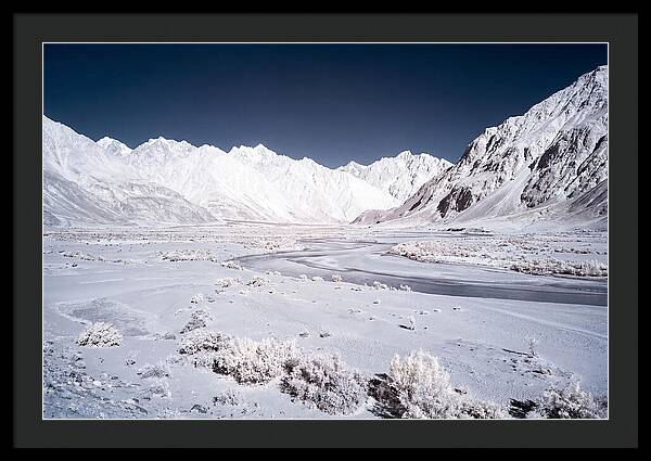 Tranquil Moments In Nubra Valley