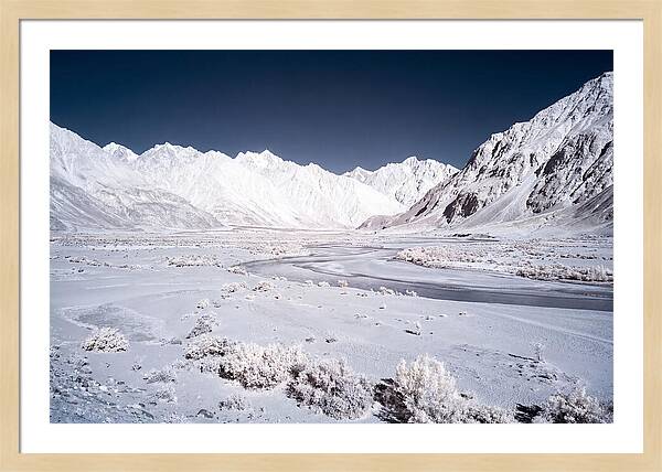 Tranquil Moments In Nubra Valley