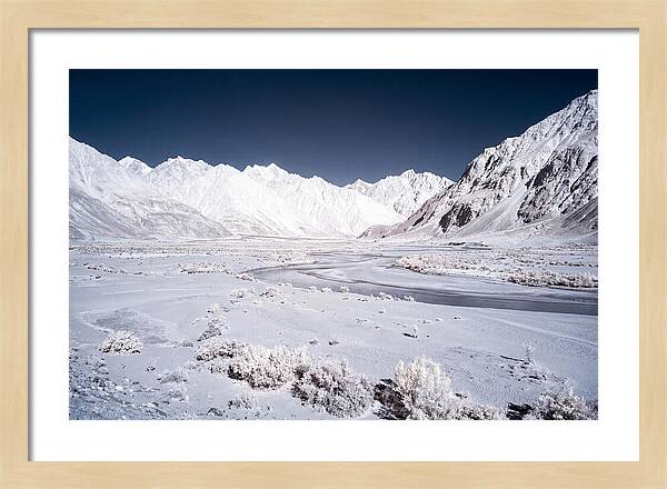 Tranquil Moments In Nubra Valley