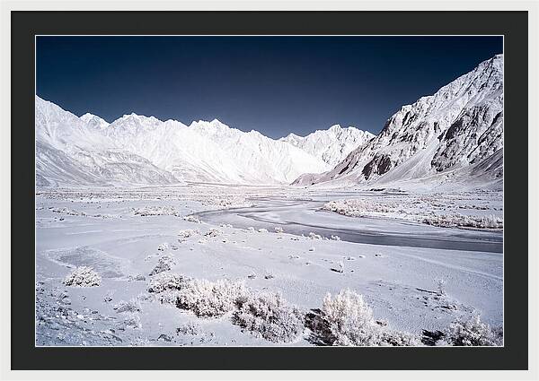 Tranquil Moments In Nubra Valley