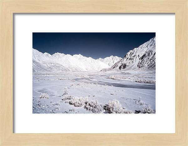 Tranquil Moments In Nubra Valley