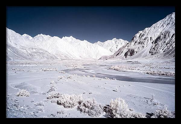 Tranquil Moments In Nubra Valley