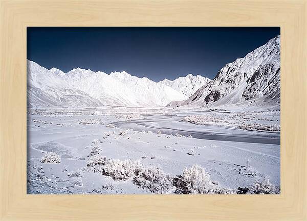 Tranquil Moments In Nubra Valley