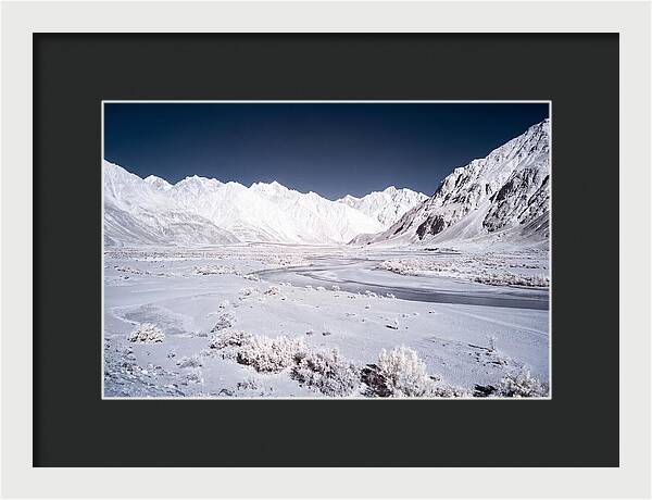Tranquil Moments In Nubra Valley